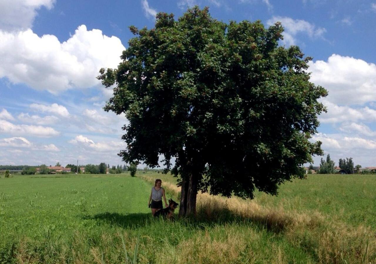 B&B Antica Cascina Boretto Exterior photo